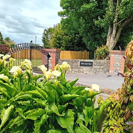 Pensjonat White Quarry Hse Quarry Road Navan Zewnętrze zdjęcie