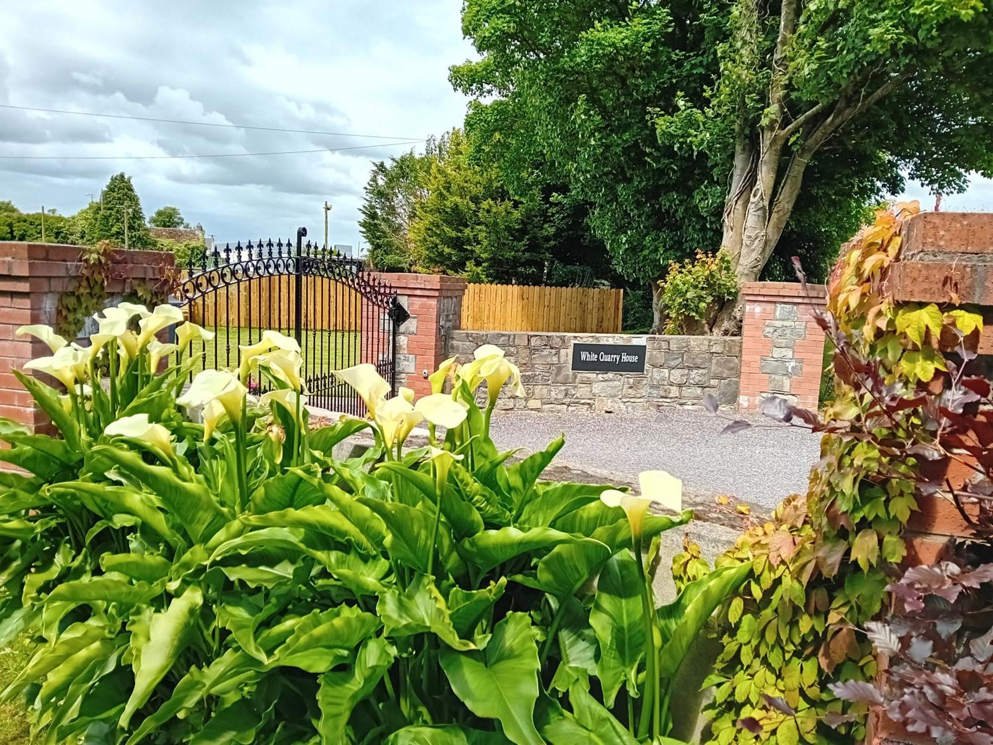 Pensjonat White Quarry Hse Quarry Road Navan Zewnętrze zdjęcie